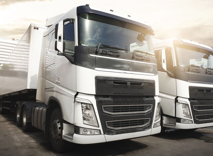 Qualität und Service bei Carcompany in Schwechat